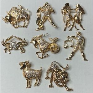 Gold glitter Zodiac Brooch Set of 8